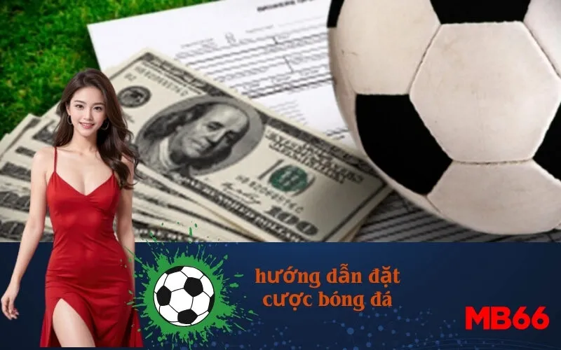 hướng dẫn đặt cược bóng đá