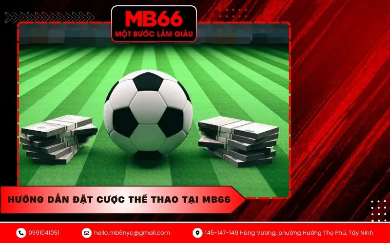 Hướng dẫn đặt cược thể thao tại MB66 cho người mới
