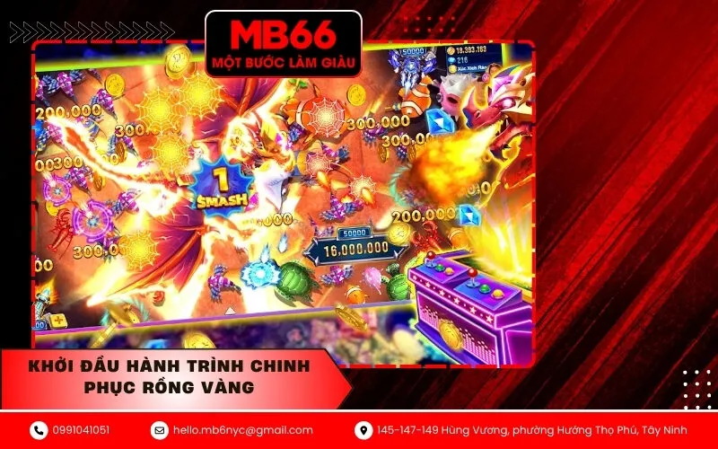 Khởi Đầu Hành Trình Chinh Phục Rồng Vàng