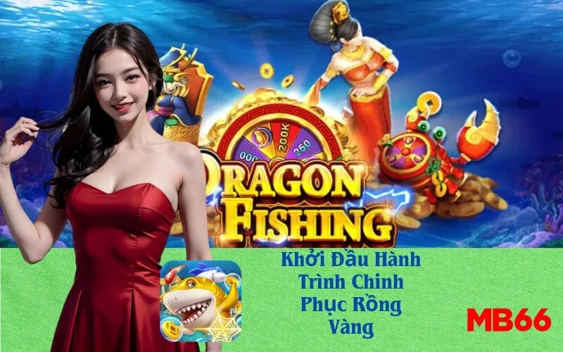 Khởi Đầu Hành Trình Chinh Phục Rồng Vàng