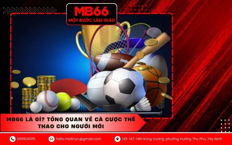 MB66 là gì Tổng quan về cá cược thể thao cho người mới